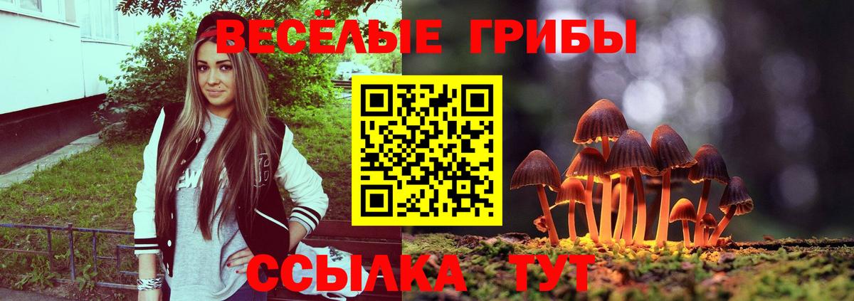 Псилоцибиновые грибы мицелий  Вход с VPN  Псилоцибиновые грибы GOLDEN TEACHER  Прохладный 